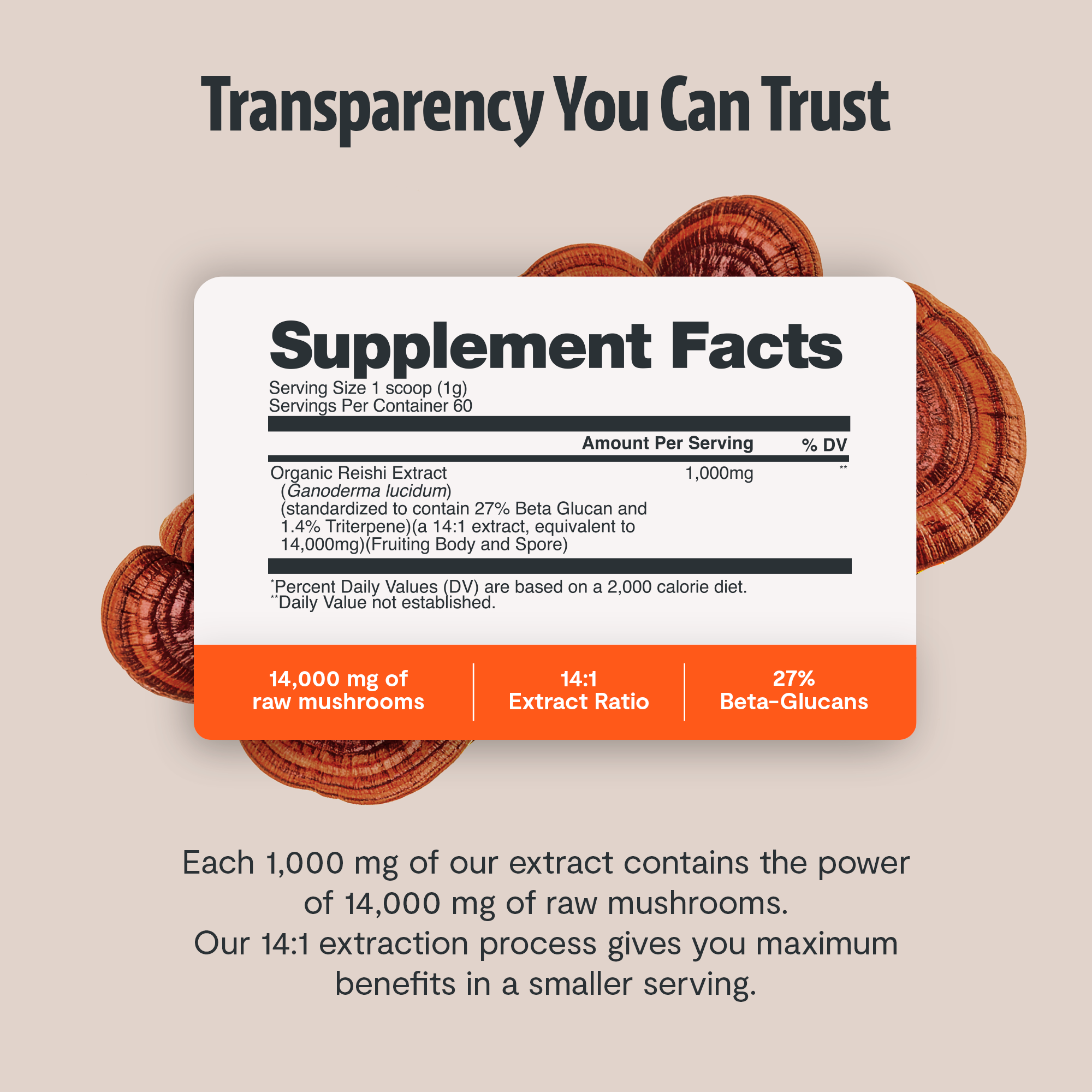 Organic Reishi Mushroom Powder